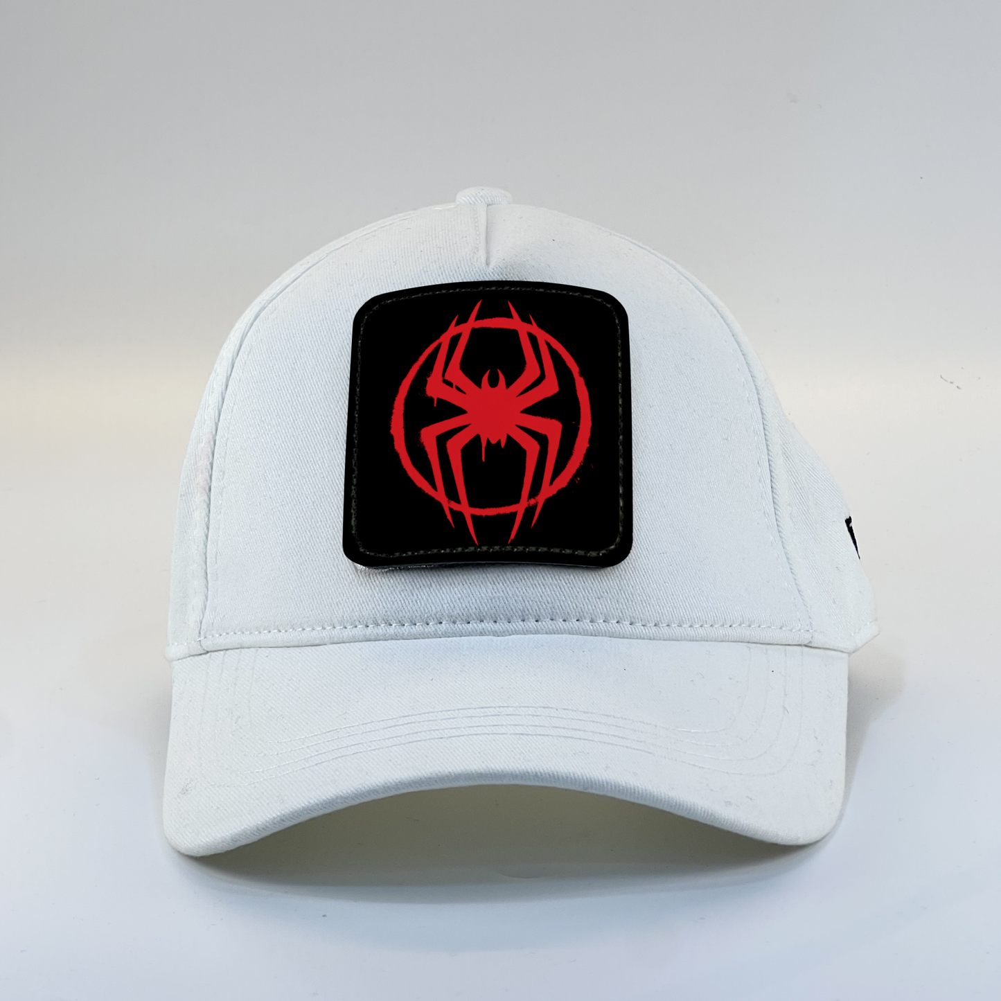 Spiderman Zaga Cap
