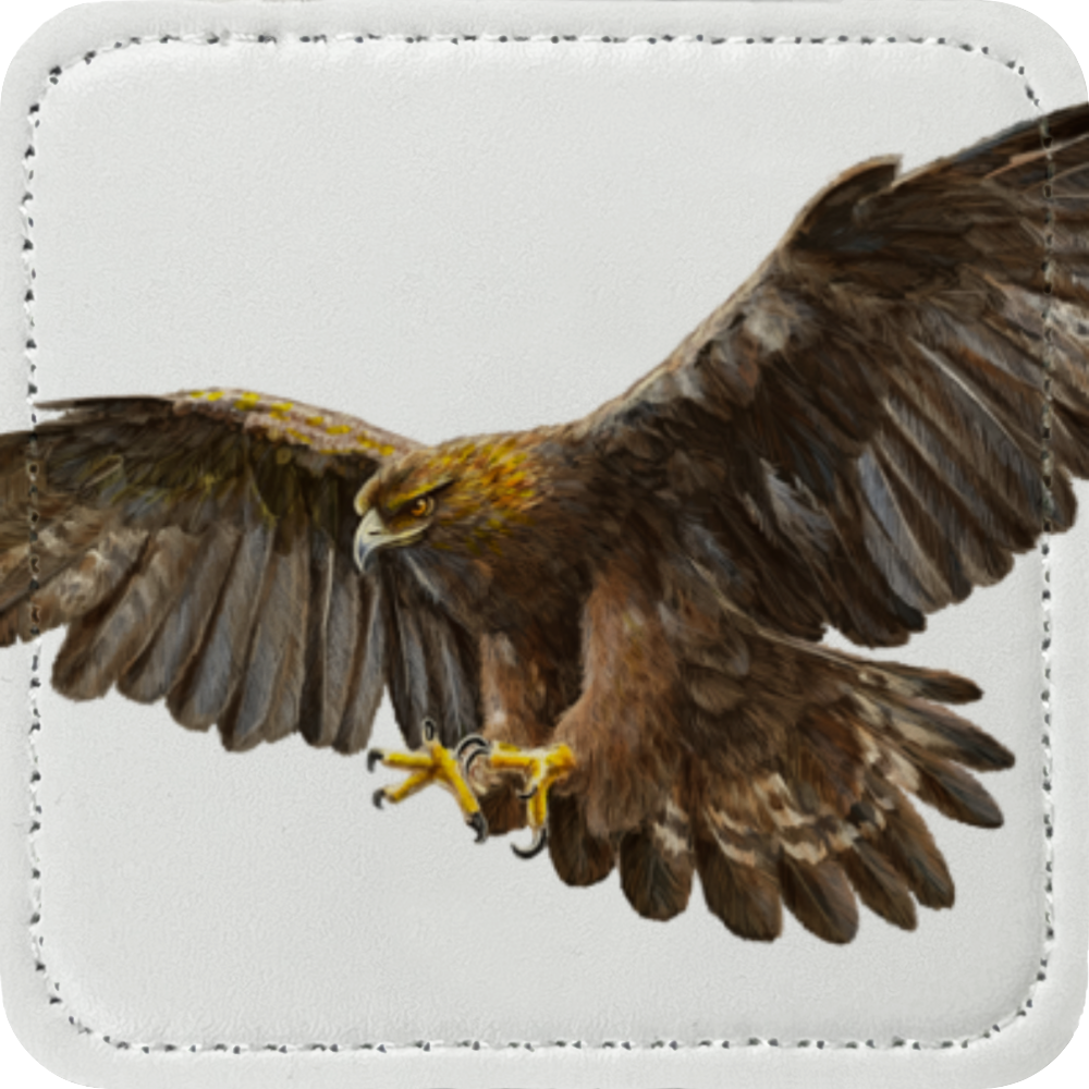 Eagle Patch